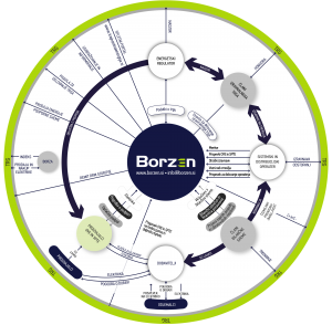 Dejavnosti Borzen